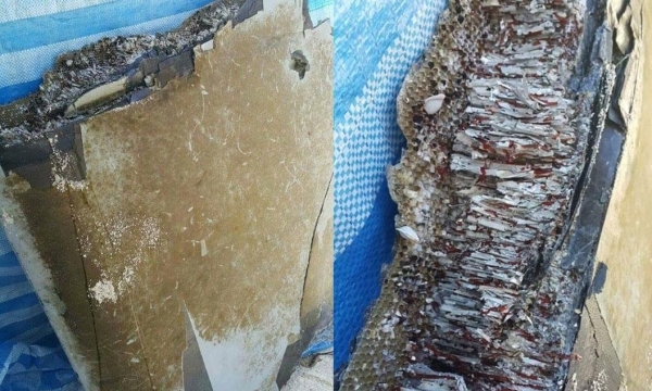 Tìm thấy mảnh vỡ máy bay MH370 trên biển Mozambique?